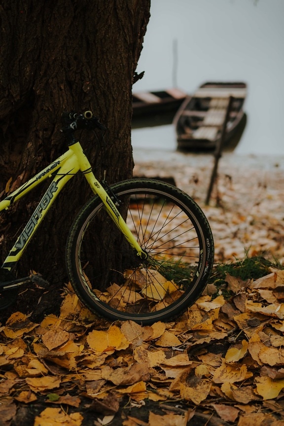 mountain bike, autumn, riverbank, bicycle, wheel, nature, outdoors, vehicle, water, cycling