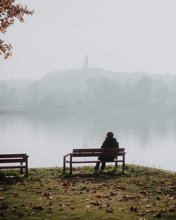 osoba, samotné, sedící, mlha, lavička, břehu řeky, ráno, sídlo, mlha, voda