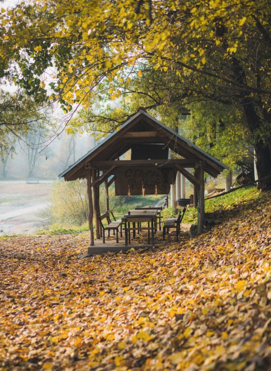 prístrešok, stodola, jesennej sezóny, strom, krídlo, vonku, príroda, drevo, park, vidiek