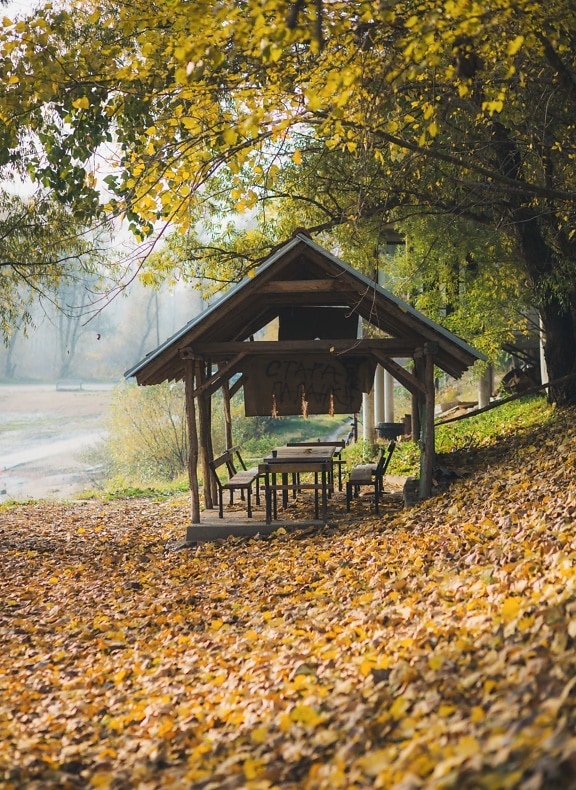 shed, barn, autumn season, tree, leaf, outdoors, nature, wood, park, countryside