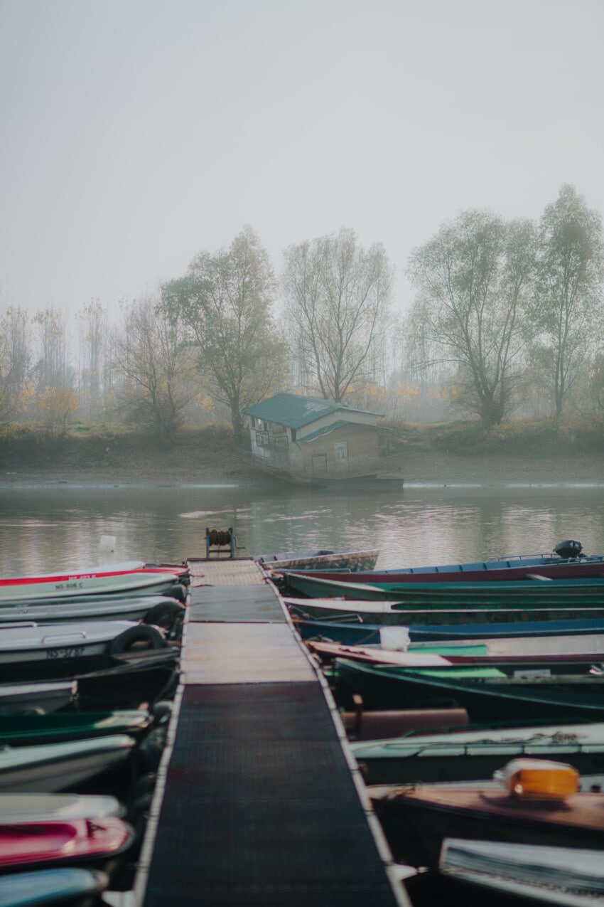 Free picture: lakeside, foggy, boathouse, harbor, water, river, winter ...