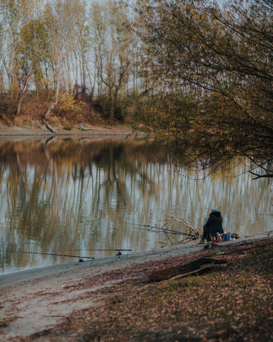 pescatore, autunno, pesca, Riva del fiume, albero, acqua, terra, foresta, Lago, orizzontale