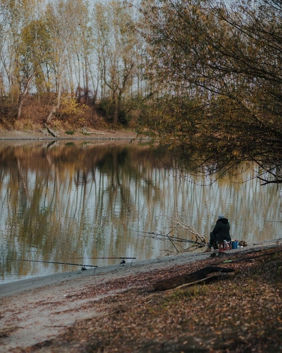 pescador, otoño, pesca, orilla del río, árbol, agua, tierra, bosque, Lago, paisaje