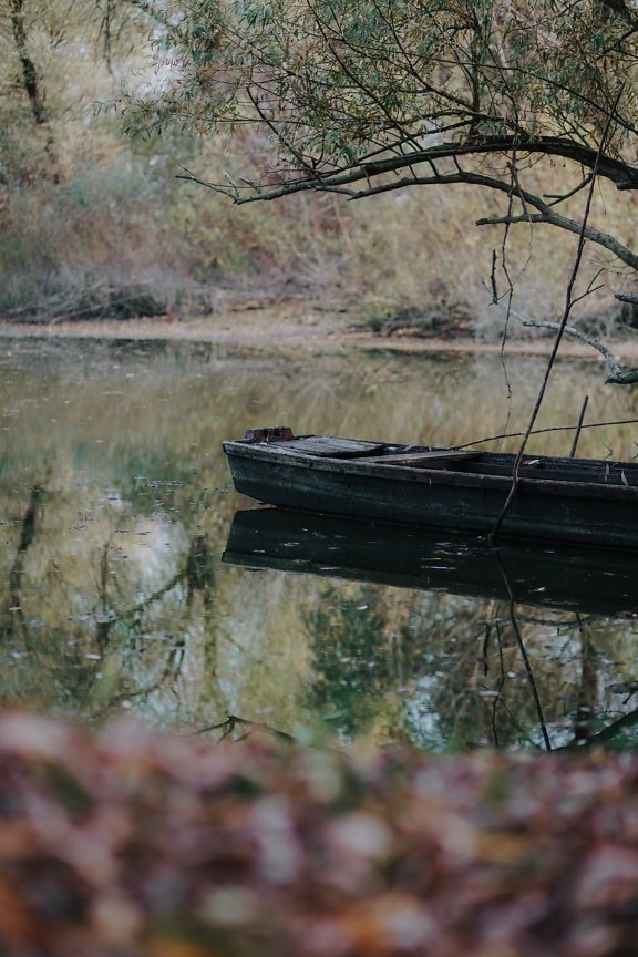 swamp, boat, abandoned, autumn, tree, wood, nature, water, leaf, landscape