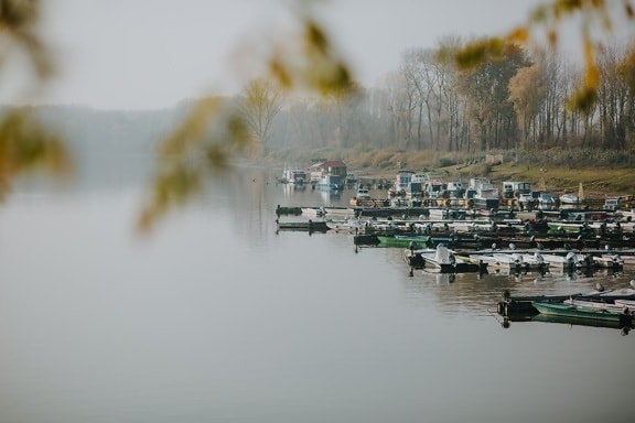 hmla, pri jazere, jesennej sezóny, prístav, člny, vozidlá, riečna loď, nábreží, hladina vody, pokojný