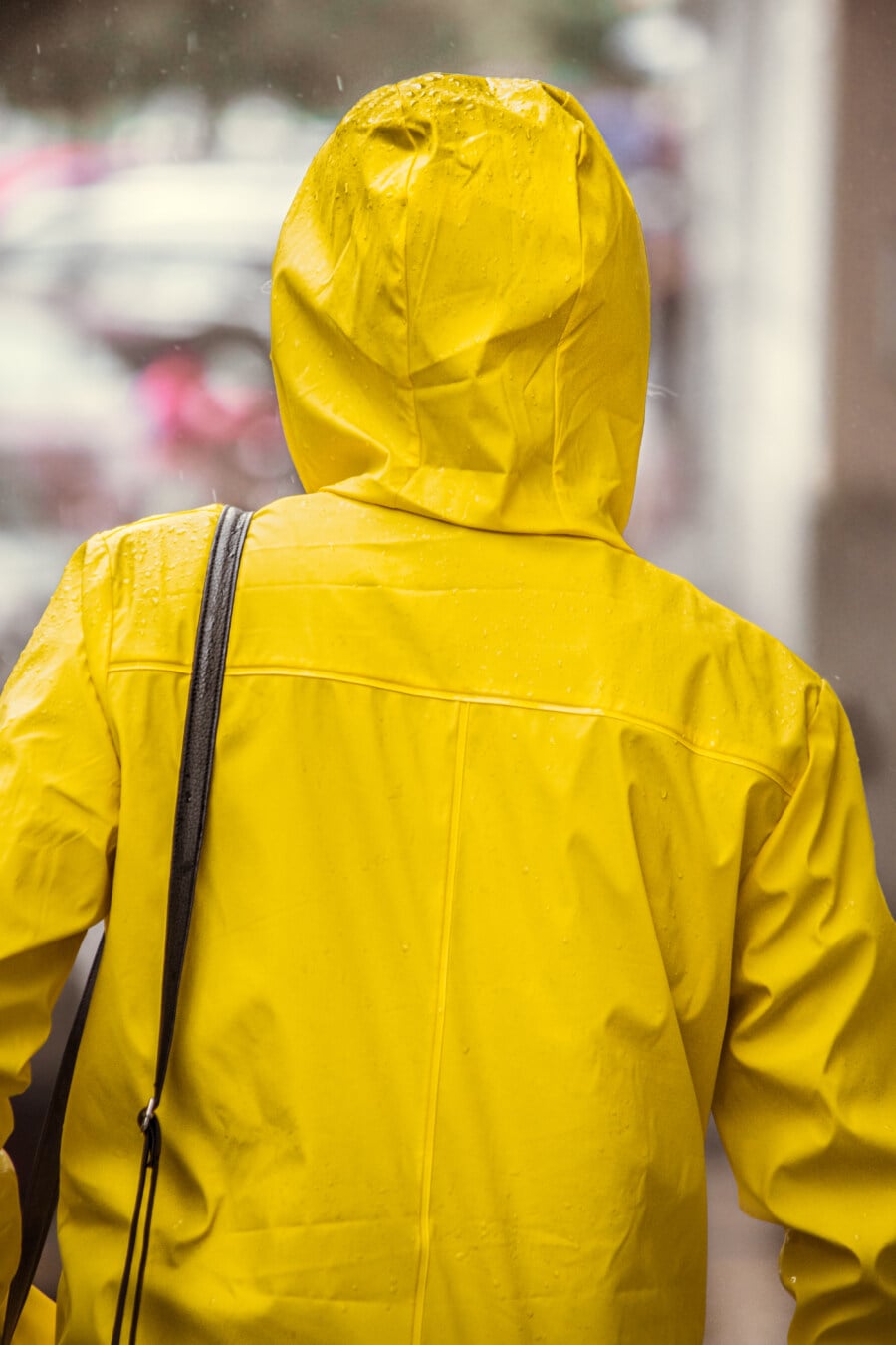 waterproof, rain, yellow, jacket, person, bad weather, raindrop, rainy season, outdoors, man