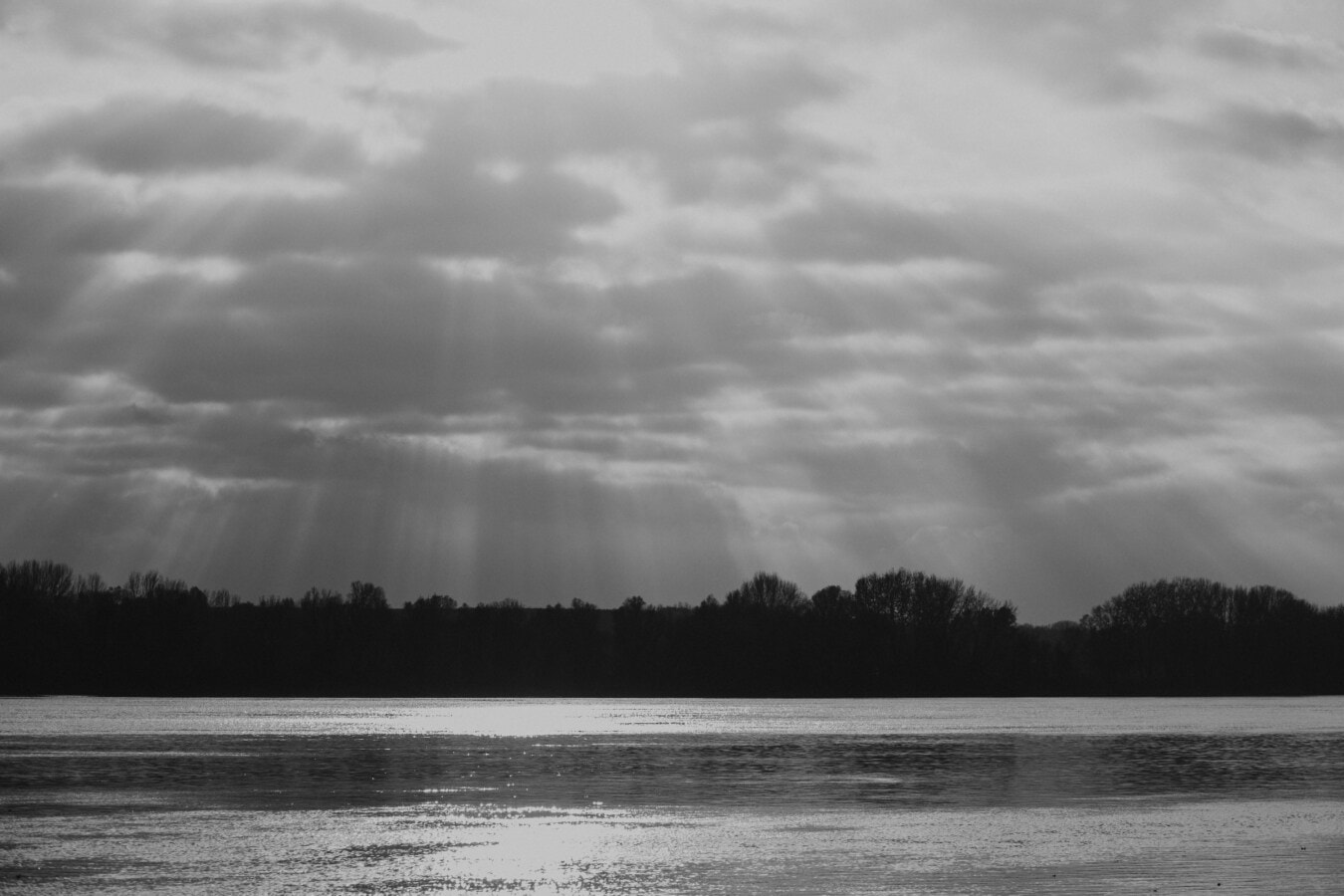 noir et blanc, ensoleillement, rayons de soleil, monochrome, niveau d'eau, au bord du lac, Lac, eau, paysage, atmosphère
