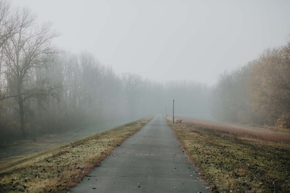 fog, road, empty, autumn season, cold, slope, weather, mist, landscape, tree