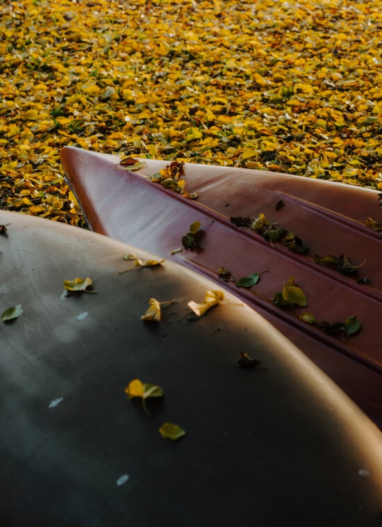 podzim, kajak, vozidlo, plastové, žluto hnědá, žluté listy, krajina, venku, list, příroda