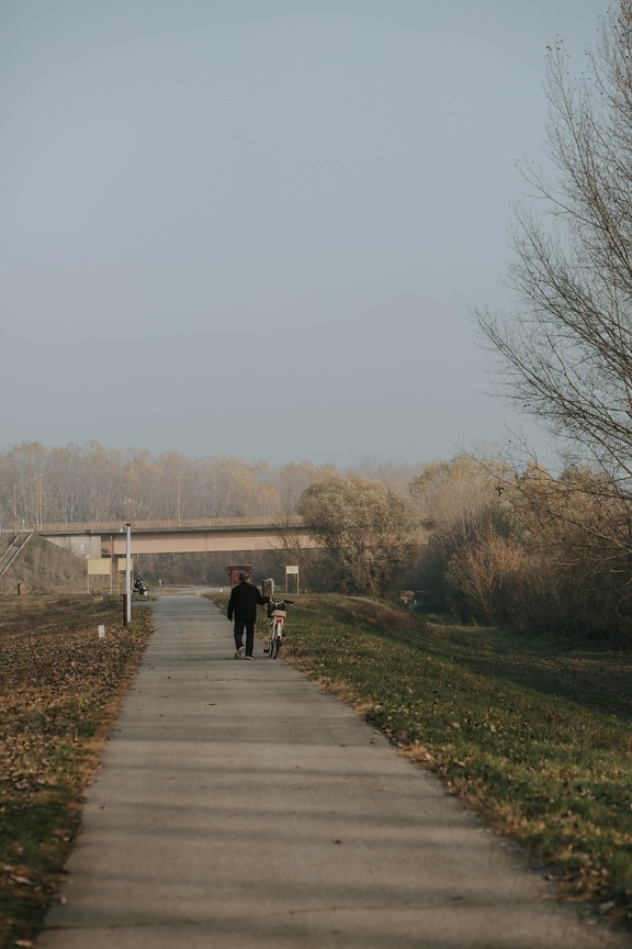old man, pensioner, alone, road, walking, outdoor, bicycle, physical activity, landscape, fog