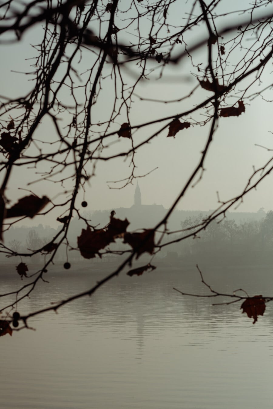 silhouette, fog, church tower, branches, autumn season, distance, landscape, branch, tree, nature