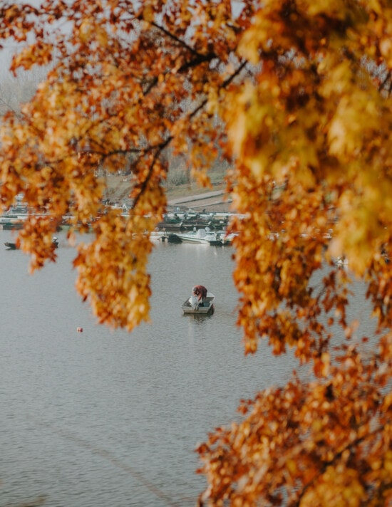 Puerto, Otoño, amarillo anaranjado, hojas, ramas, junto al lago, barcos, hoja, Arce, otoño
