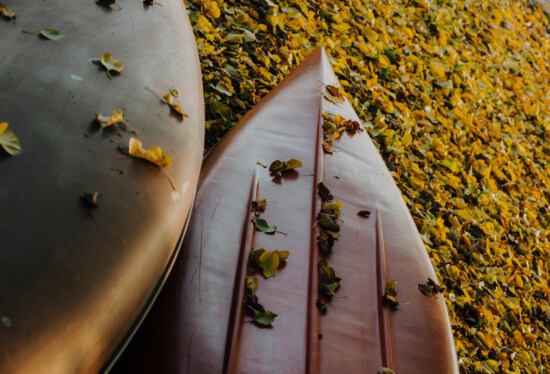 canoa, kayak, autunno, foglie gialle, tempo libero, natura, orizzontale, luce del giorno, foglia, abbandonato