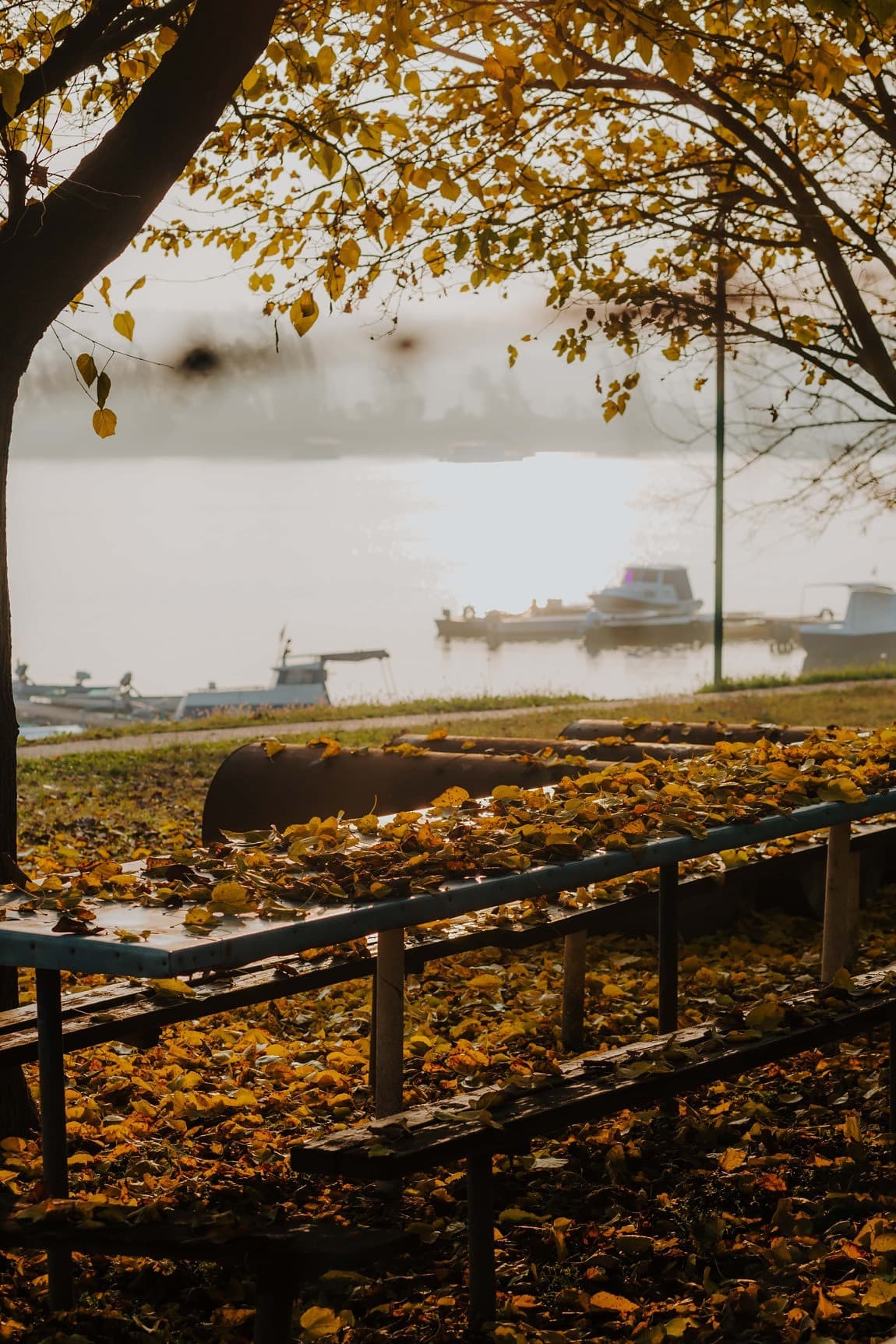 Imagine Gratuită Port Sezonul De Toamnă Pe Malul Lacului Ceata