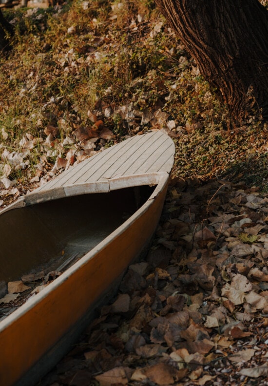 plástico, barco, orilla del río, otoño, pendiente, estación seca, al aire libre, naturaleza, madera, árbol
