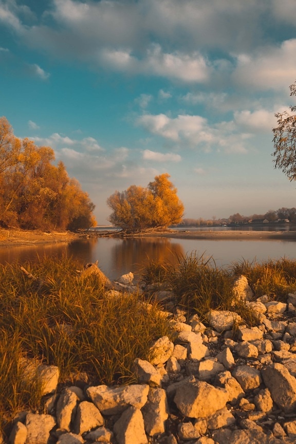 洛基河, 秋天, 荒野, 白天, 阳光, 国家公园, 性质, 河, 日落, 树