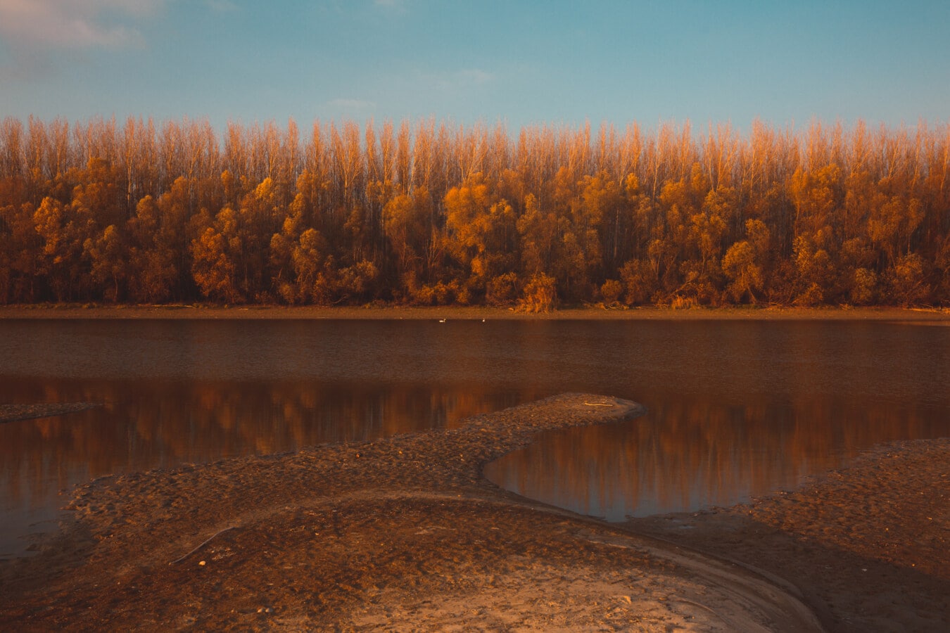 Flussufer, Herbst, bei Ebbe, Fluss, Flussbett, Landschaft, Wasser, Holz, Sonnenuntergang, Struktur