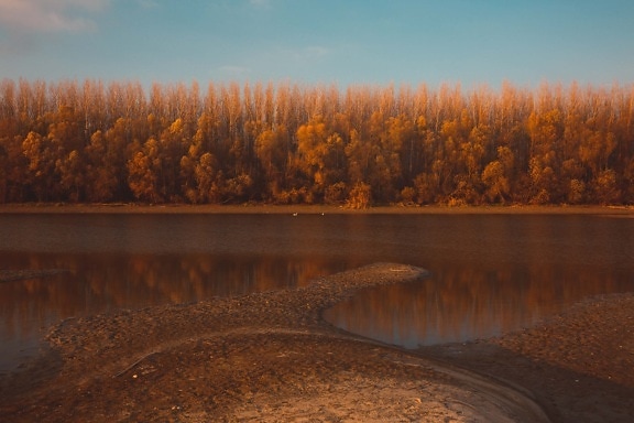 riverbank, autumn, low tide, river, riverbed, landscape, water, wood, sunset, tree