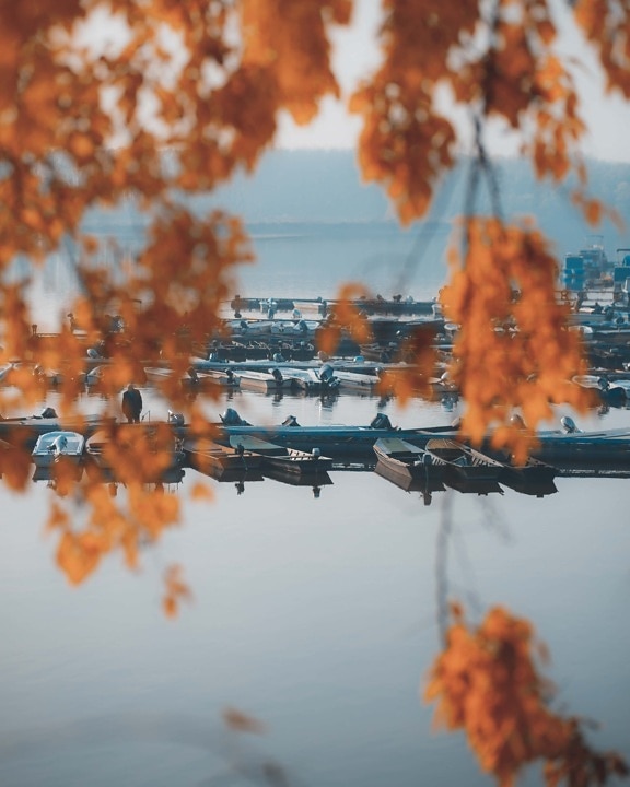 sezon jesień, port, łodzie, River boat, natura, wody, na zewnątrz, drewno, jasne, pogodne