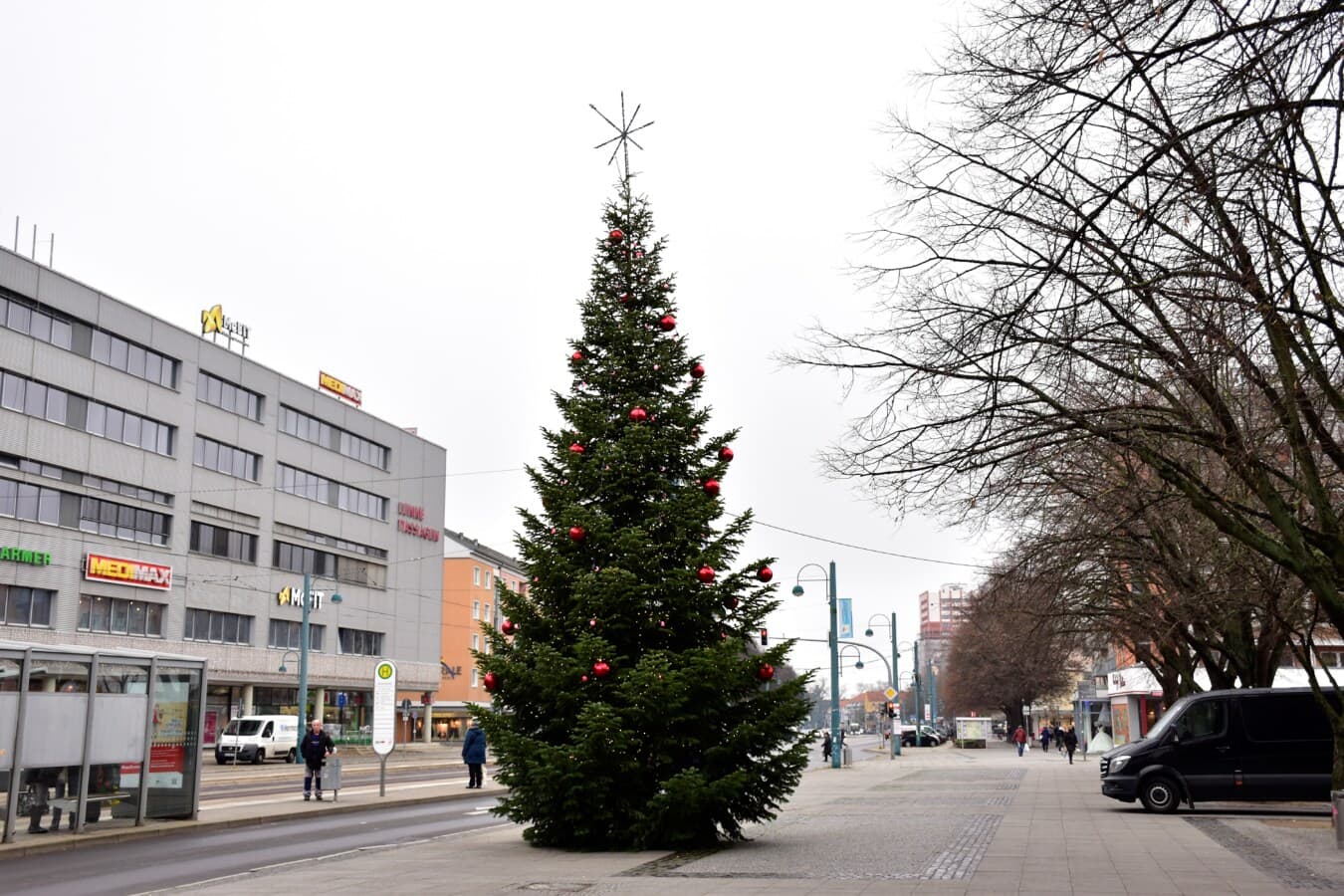 Weihnachtsbaum, Straße, Pflaster, Tageslicht, Stadtregion, Stadt, Struktur, Architektur, Weihnachten, Straße