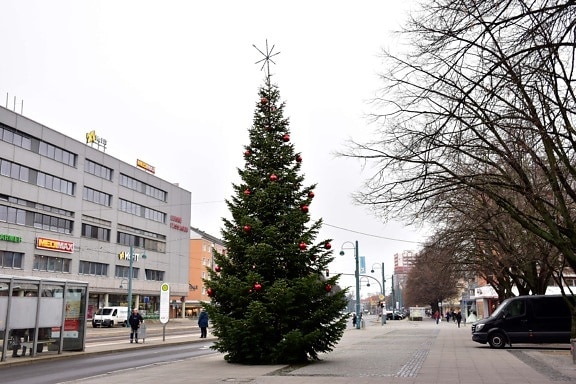 christmas tree, street, pavement, daylight, urban area, city, tree, architecture, christmas, road