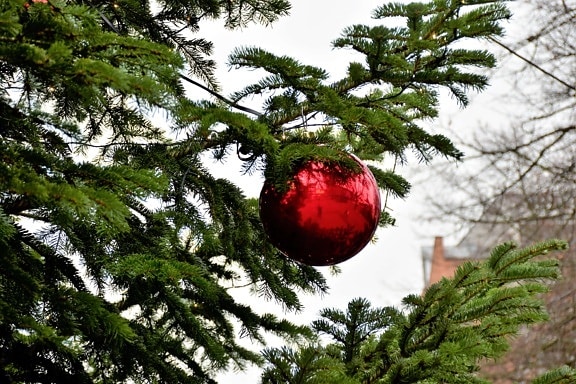 christmas tree, christmas, red, decoration, sphere, branch, tree, pine, evergreen, conifer
