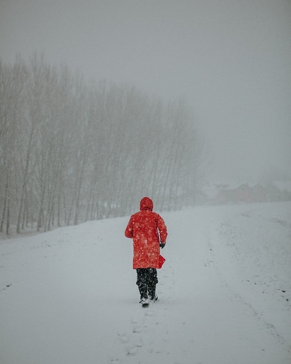 extrem, furtună de zăpadă, vremea, zăpadă, om, persoană, mersul pe jos, iarna, gheata, rece