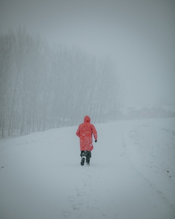 alone, person, freeze, extreme, weather, snowstorm, snowy, frost, cold, ice