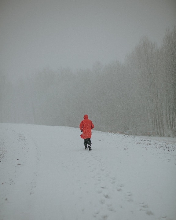 hóvihar, hópelyhek, személy, kabát, piros, hideg, lejtő, emberek, hó, téli