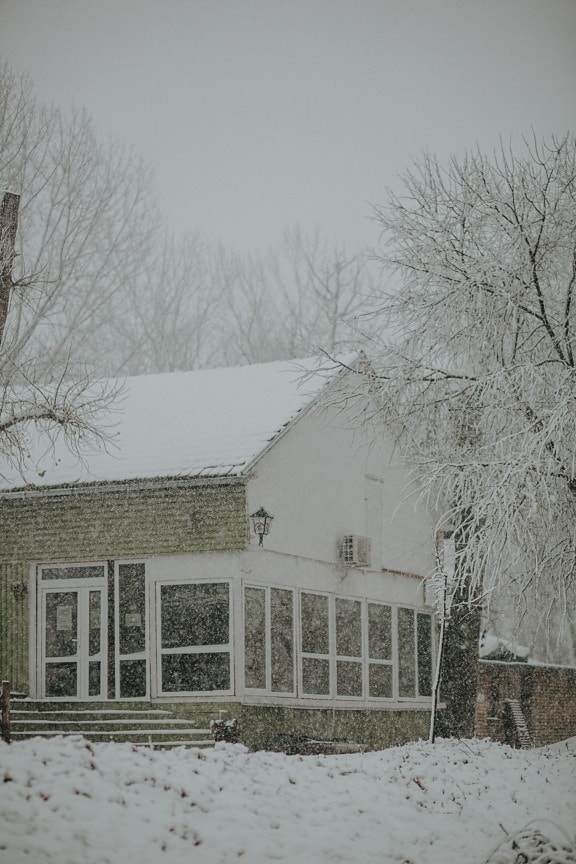 vidéken, hó, téli, ház, hópelyhek, pajta, épület, hideg, fagy, fa