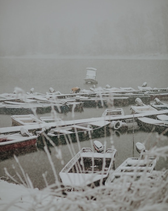 снежинки, снежна буря, лодки, студена вода, пристанище, вода, зимни, плавателни съдове, на открито, лодка