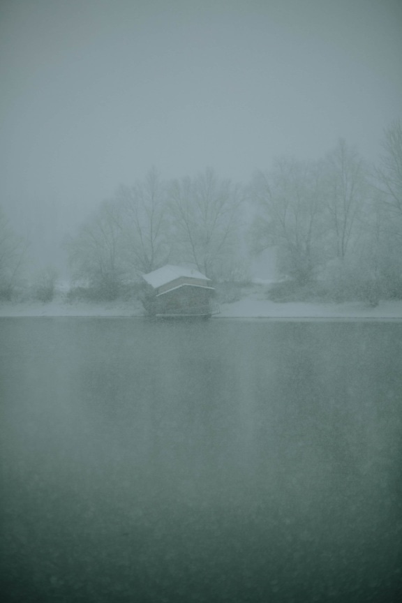 snowstorm, snowflakes, frosty, cold water, lakeside, bad weather, mist, landscape, winter, fog