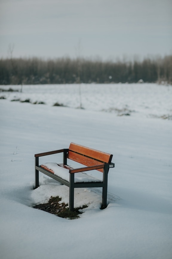 tuyết, lĩnh vực, mùa đông, băng ghế dự bị, đông lạnh, Bản gốc giày, sương mù, băng, cảnh quan, chỗ ngồi