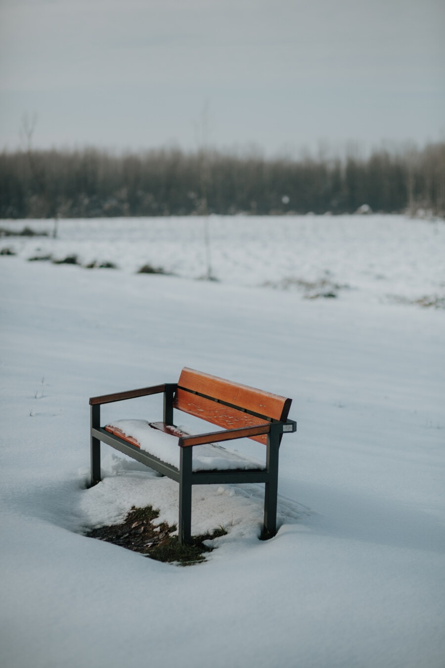 snow, field, winter, bench, frozen, empty, frosty, ice, landscape, seat