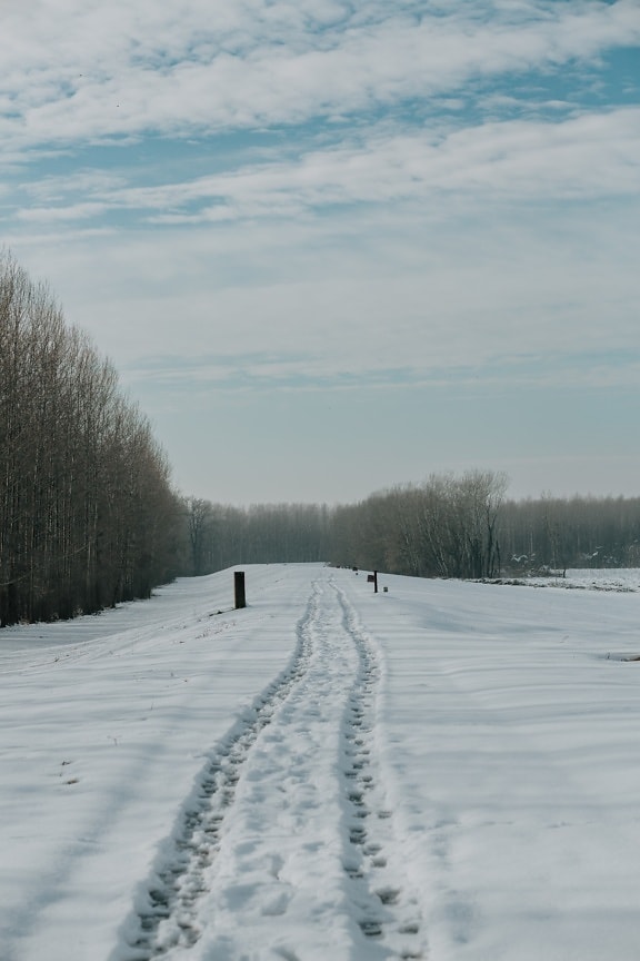empty, road, snowy, footstep, landscape, frost, ice, winter, snow, season