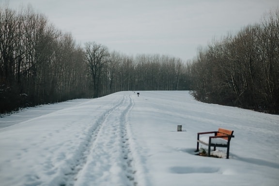 śnieżny, ślad, ślady, chodnik, Szlak, pusty, zimowe, drogi, Szlak, ścieżka