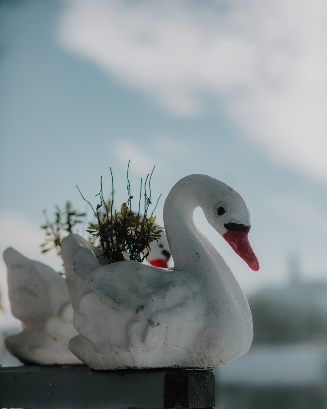 sculpture, swan, concrete, flowerpot, handmade, miniature, bird, outdoors, outdoor, close-up