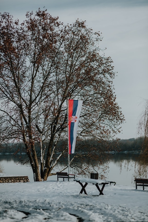 Resort-området, Serbien, flagga, åstranden, vinter, snöig, kalla, snö, frost, träd