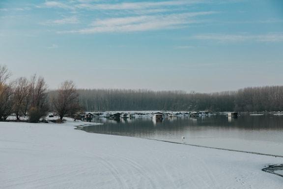 湖, 冬, ビーチ フロント, 冷たい水, 雪, 青い空, ランドス ケープ, 木, 冷, 天気