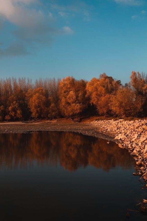 estação Outono, beira do lago, amarelo alaranjado, cores, floresta, Lago, paisagem, sol, atmosfera, água