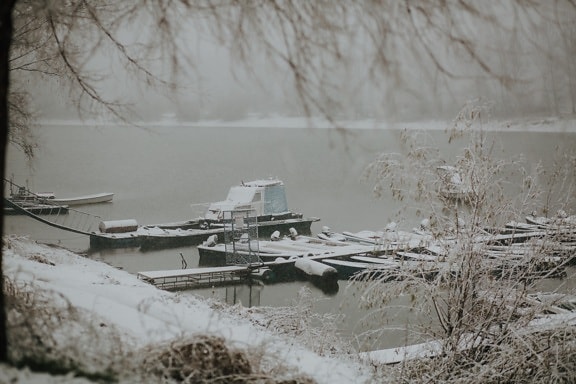 winter, lakeside, snowy, ice, water, fog, snow, cold, landscape, frost