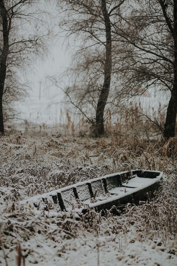 cold, winter, temperature, snowy, landscape, abandoned, boat, snow, fog, forest