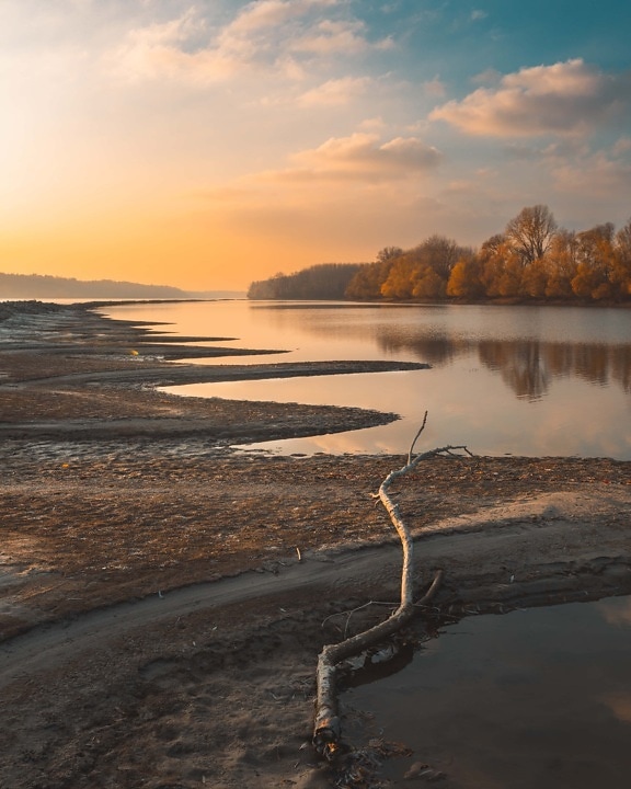 driftwood, tide water, tide, river, riverbank, riverbed, sunset, beach, shore, water