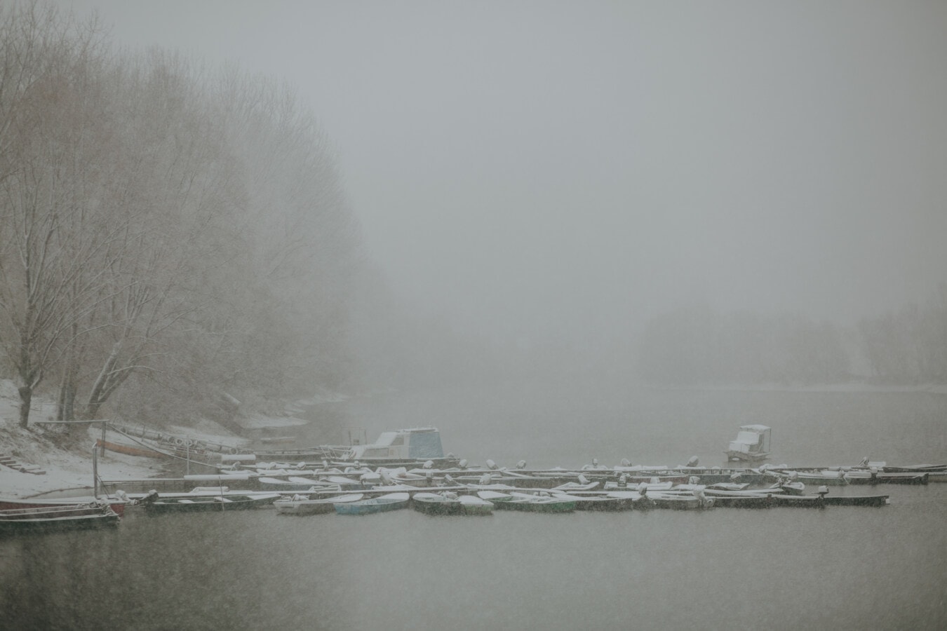 foggy, snowflakes, snowstorm, lakeside, harbour, cold, bad weather, temperature, snow, water