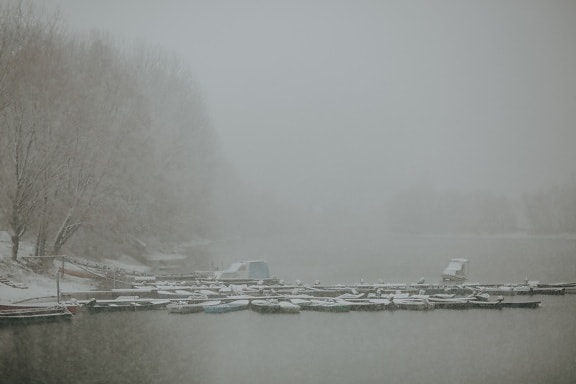 туманный, снежинки, снежная буря, на берегу озера, гавань, холод, плохая погода, Температура, снег, вода