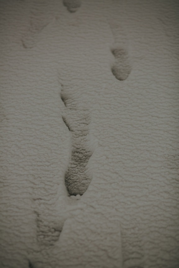 Krok, stopa, sníh, pěšina, stopy, pozemní, zasněžené, textura, prázdná, příroda