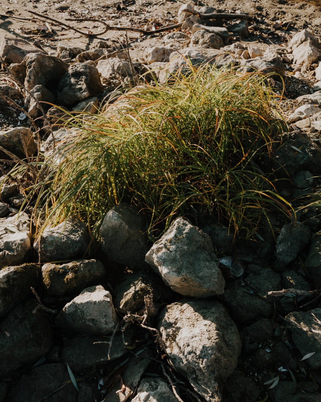 große Steine, Boden, Graspflanzen, Steine, Natur, Rock, Gras, im freien, Stein, Landschaft