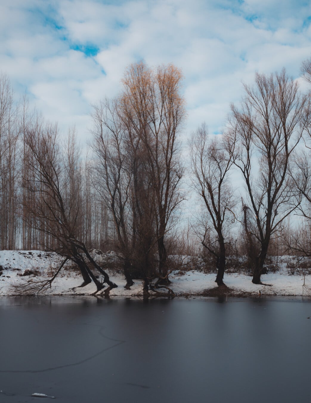 cold water, channel, frozen, ice water, cold, dawn, trees, frost, snow, landscape