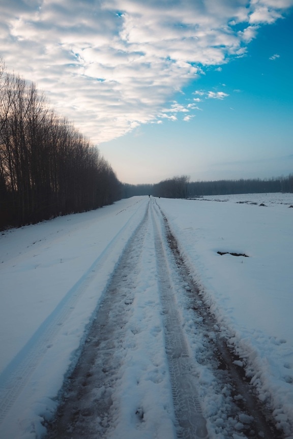 замороженные, дорога, снежно, пустая, зима, голубое небо, лес, снег, пейзаж, холод