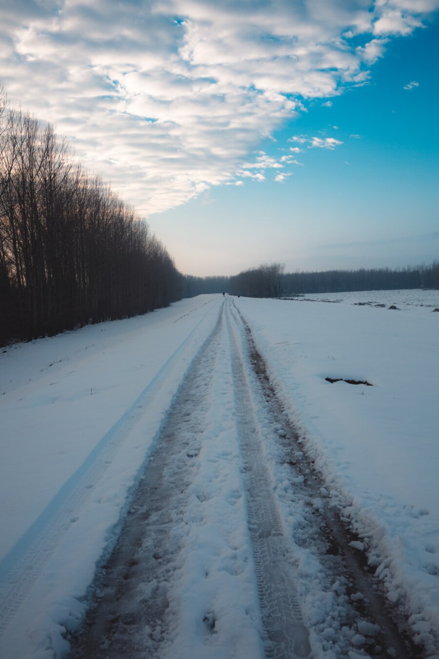 frozen, road, snowy, empty, winter, blue sky, forest, snow, landscape, cold